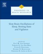 Slow Brain Oscillations of Sleep, Resting State and Vigilance