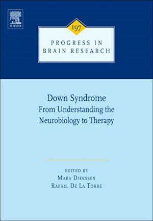 Down Syndrome: From Understanding the Neurobiology to Therapy