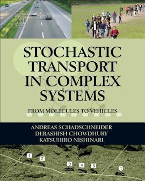 Stochastic Transport in Complex Systems