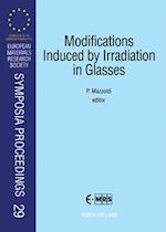 Modifications Induced by Irradiation in Glasses