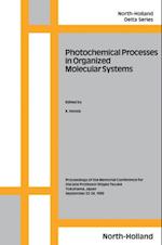 Photochemical Processes in Organized Molecular Systems