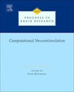 Computational Neurostimulation