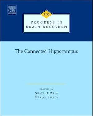 The Connected Hippocampus