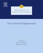 Connected Hippocampus