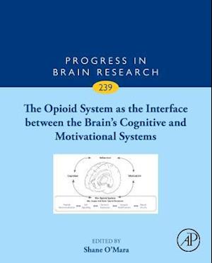 The Opioid System as the Interface between the Brain’s Cognitive and Motivational Systems