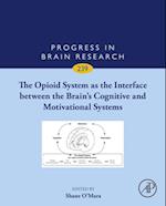 Opioid System as the Interface between the Brain's Cognitive and Motivational Systems