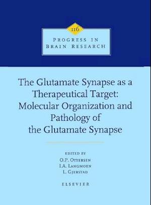 The Glutamate Synapse as a Therapeutic Target