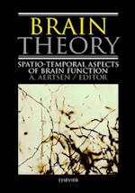 Brain Theory