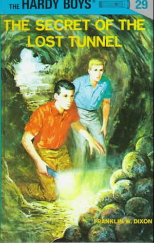 Hardy Boys 29