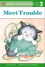 Meet Trouble