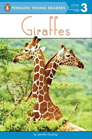 Giraffes