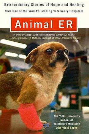 Animal E.R.