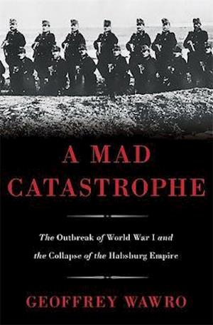 A Mad Catastrophe