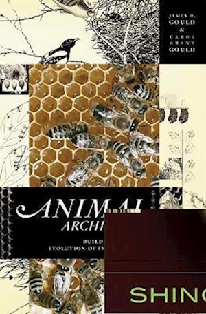 Animal Architects