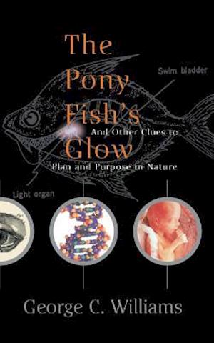 The Pony Fish's Glow