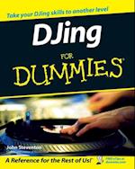 DJing for Dummies