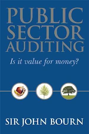 Public Sector Auditing - Is It Value for Money?