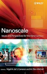 Nanoscale – Issues and Perspectives for the Nano Century