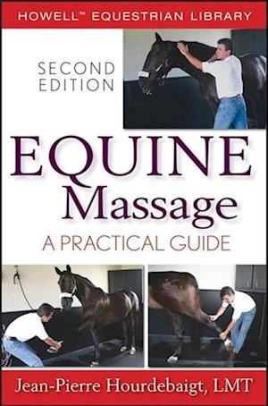 Equine Massage