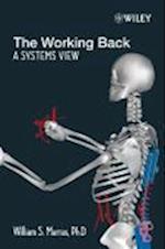 The Working Back – A Systems View