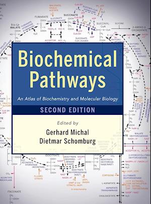 Biochemical Pathways