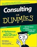 Consulting For Dummies 2e