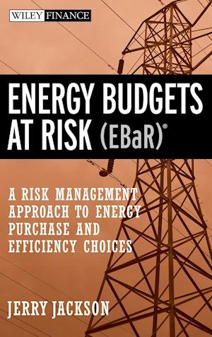 Energy Budgets at Risk (EBaR) – A Risk Management Approach to Energy Purchase and Efficiency Choices