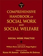 Comprehensive Handbook of Social Work and Social Welfare, Social Work Practice