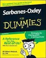 Sarbanes–Oxley For Dummies 2e