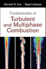 Fundamentals of Turbulent and Multi–Phase Combustion