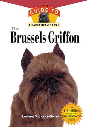 Brussels Griffon