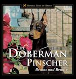 Doberman Pinscher