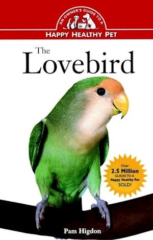 Lovebird