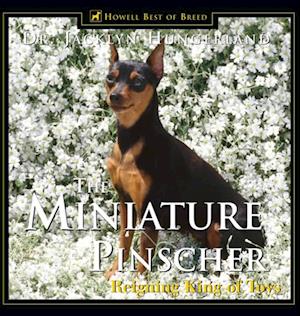 Miniature Pinscher