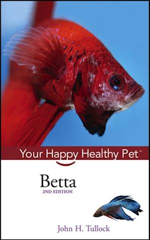 Betta