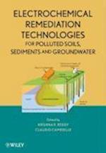 Electrochemical Remediation Technologies for Polluted Soils, Sediments and Groundwater