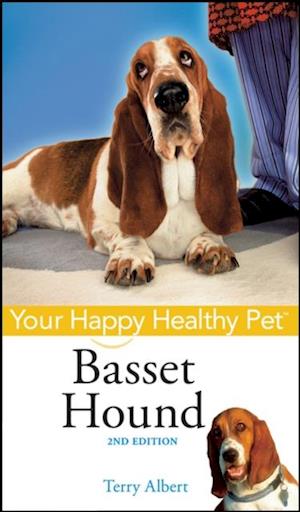 Basset Hound