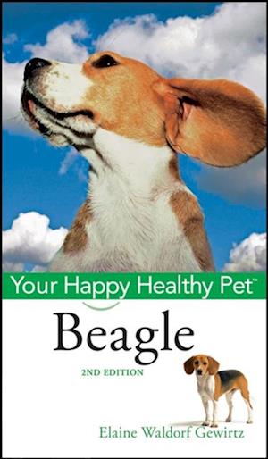 Beagle