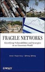 Fragile Networks – Identifying Vulnerabilities and  Synergies in an Uncertain World