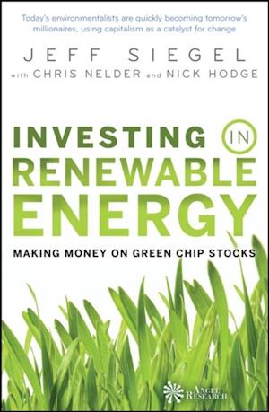 Investing in Renewable Energy