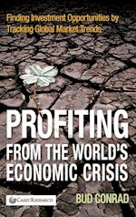 Profiting from the World's Economic Crisis – Finding Investment Opportunities by Tracking Global Market Trends