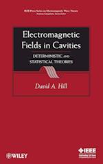 Electromagnetic Fields in Cavities – Deterministic  and Statistical Theories