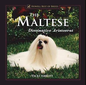 Maltese