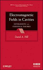 Electromagnetic Fields in Cavities