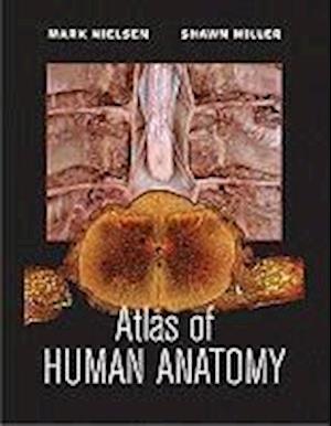 Atlas of Human Anatomy