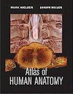 Atlas of Human Anatomy 1e (WSE)
