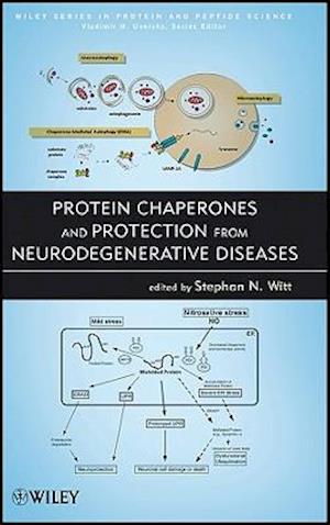 Protein Chaperones and Protection from Neurodegenerative Diseases