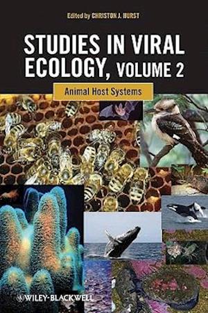 Studies in Viral Ecology