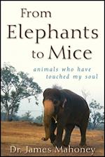 From Elephants to Mice