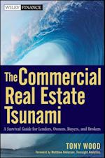 Commercial Real Estate Tsunami